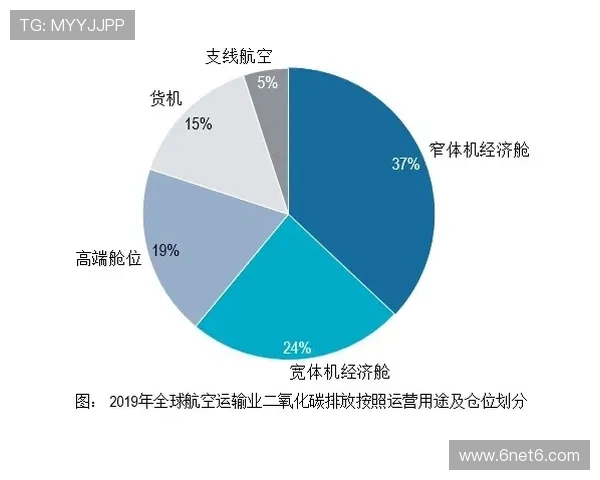 磁卡起伏与VAR公平真理探讨